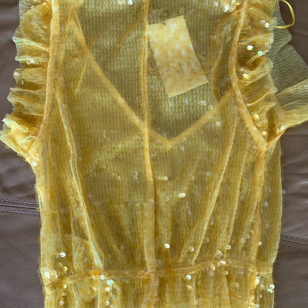 Zara NWT Sequin top